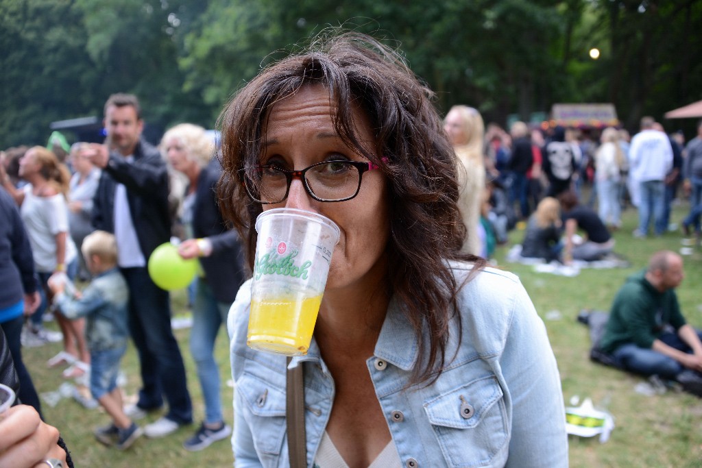../Images/Werfpop 2015 234.jpg